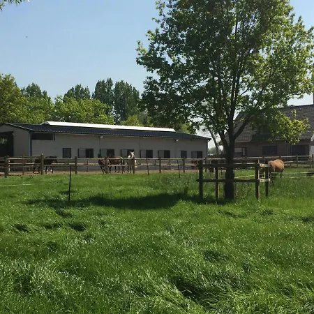 Дом отдыха 't Morehof